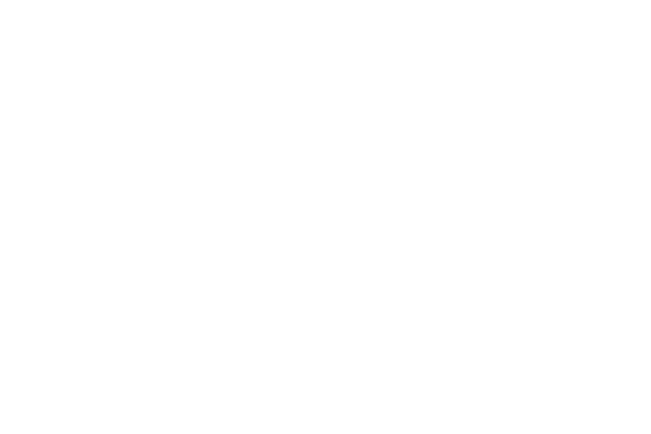 CSS3